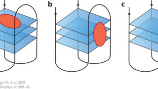 How to model G-quadruplexes