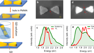The unexpectedly rich excited-state dynamics of quantum dots in plasmonic cavities