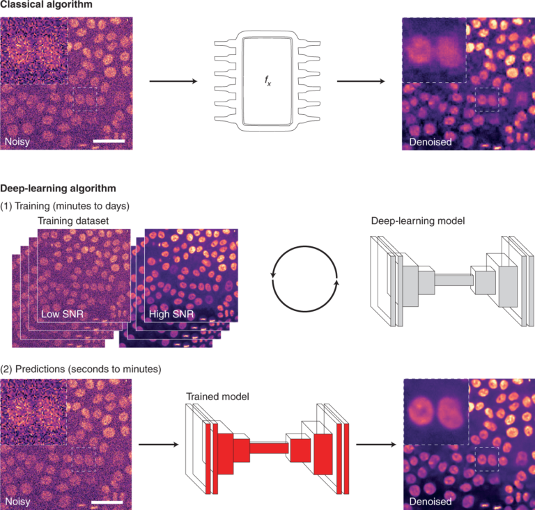 The proper use of deep learning in microscopy image analysis Mapping