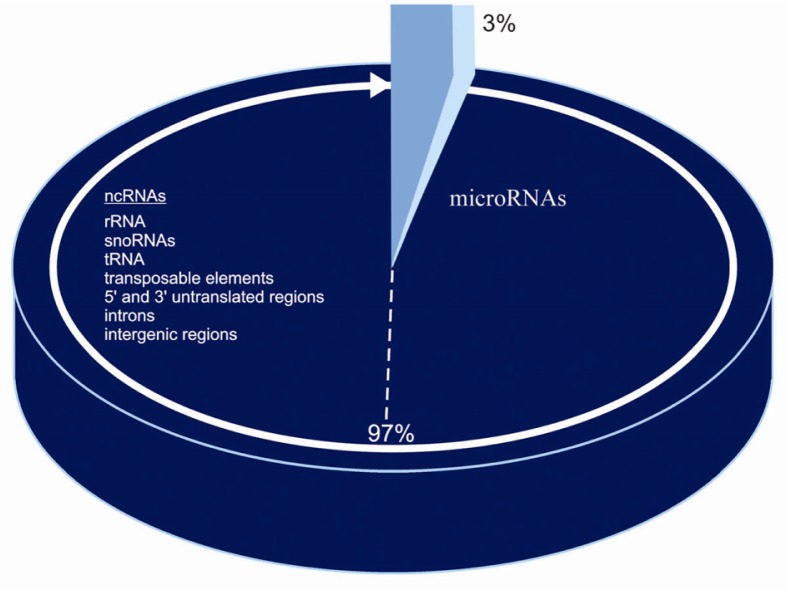 mutations-in-the-non-coding-genome-contribute-to-autism-mapping-ignorance