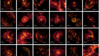 Robust clustering predictions using hydrodynamics for different samples of galaxies