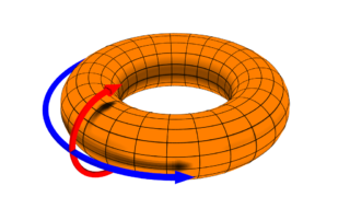The role of topology in Faraday’s laws of electrolysis
