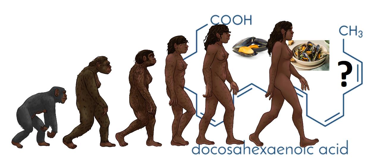 The Evolution of Comfort Food – SAPIENS