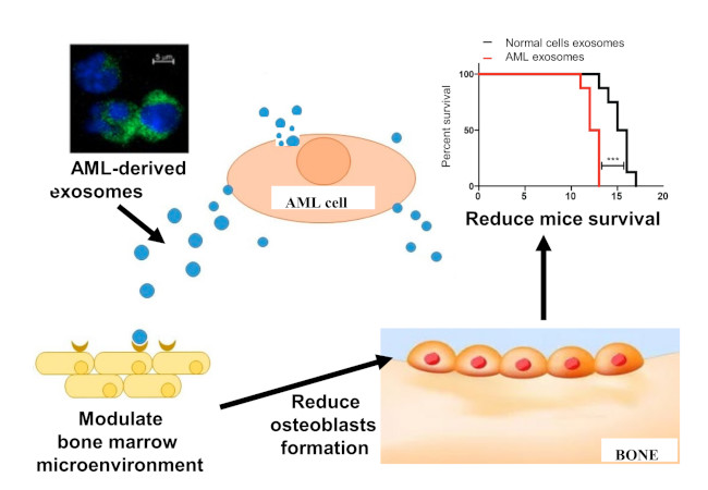 exosomes