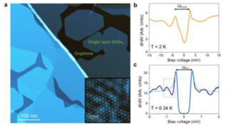 The dominant role of many-body correlations in TMDs superconductivity