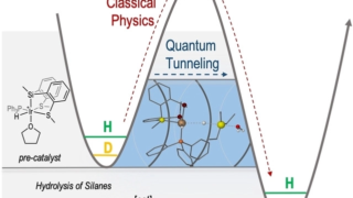 First reported case of hydrosilane activation mediated by hydrogen quantum tunnelling