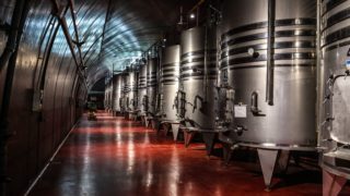 Fine-tuning wine fermentation processes
