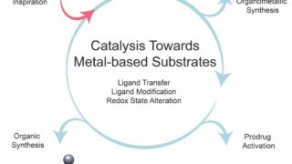 Metal substrates in catalytic reactions