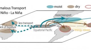 The role of atmospheric transport in El Niño