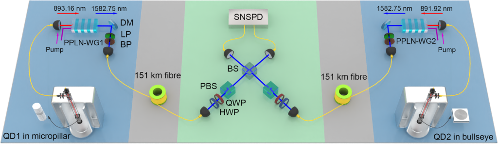 quantum network