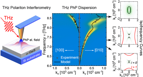 polaritons