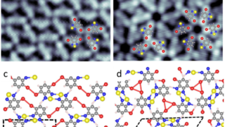 Synergistic effects of electrostatic bonds in a self-assembled molecule