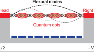 Correlated electron-phonon physics in nanotube quantum simulators