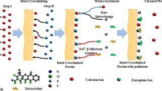 Crosslinking pectin for the simultaneous removal of multiple pollutants from water
