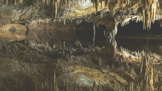 Raiders of the lost purpose (2): The stalactite principle
