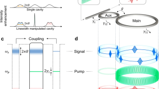 Parity-time symmetry for faster and stronger optical signal processing