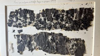 Herculaneum Papyri talking from the ashes