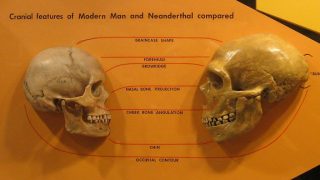 Autism and Neanderthal genome