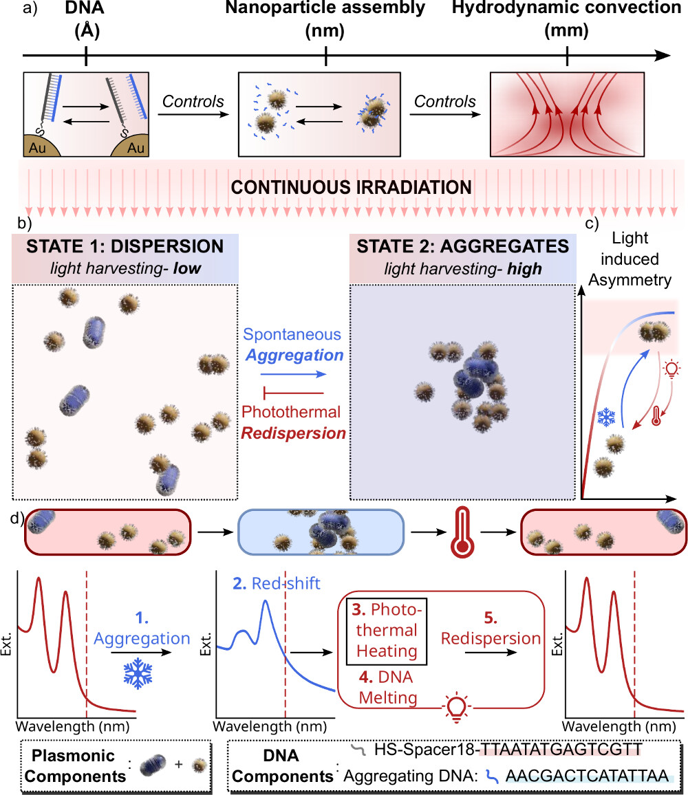 Oscillatory