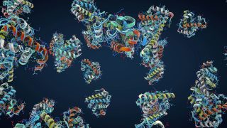 Machine learning cracked the protein-folding problem and won the 2024 Nobel Prize in chemistry