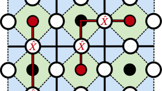 Quantum simulations of lattice gauge theories