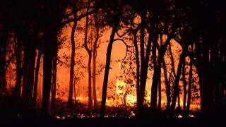 Increasing effects of global warming found on wildfire dynamics