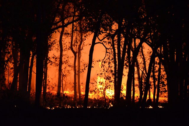 Increasing effects of global warming found on wildfire dynamics