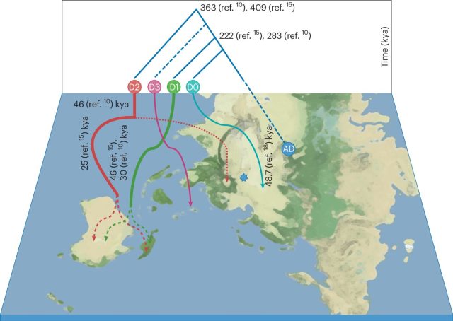 Multiple Denisovan interbreeding events with modern humans