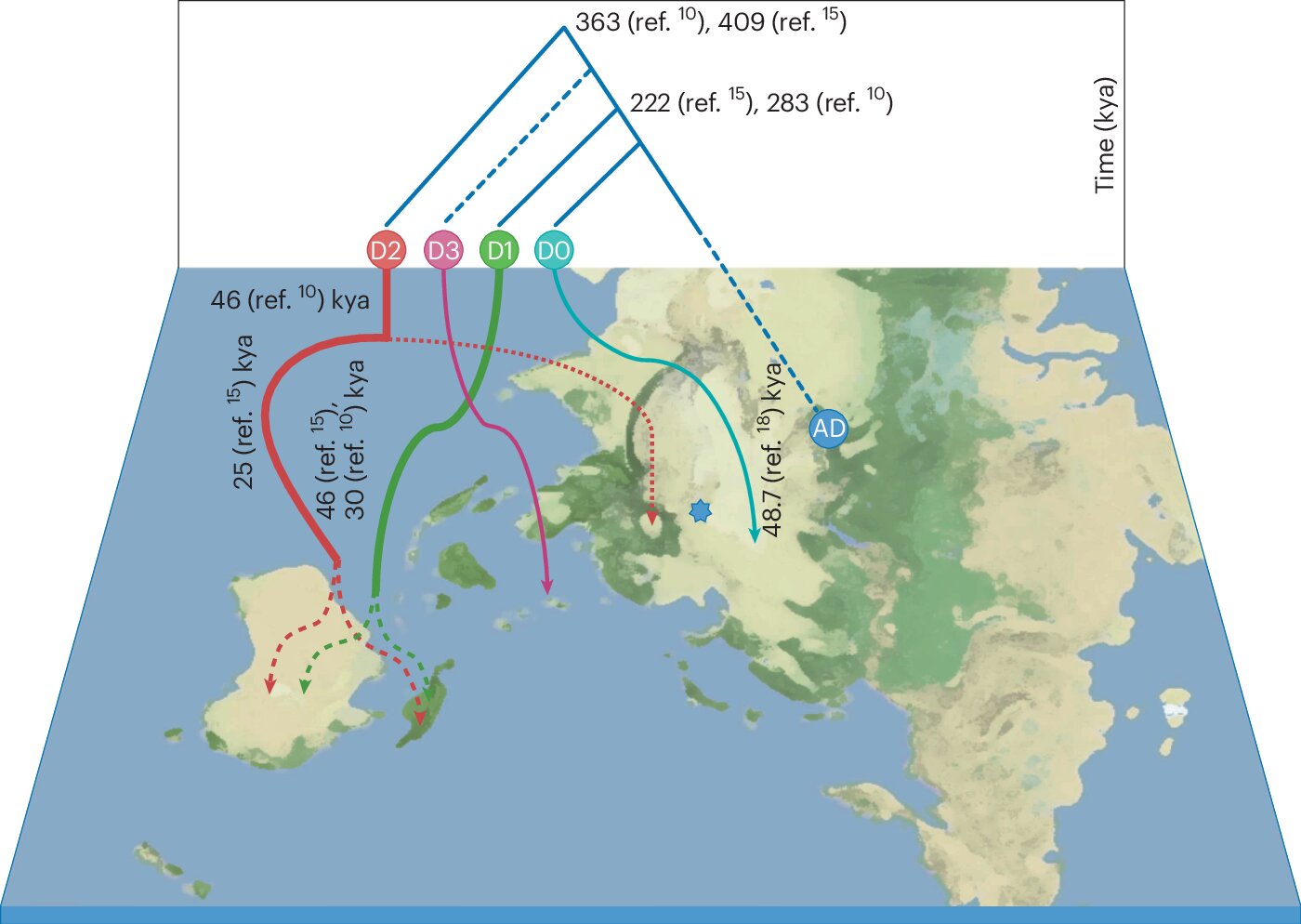 Denisovan