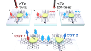 A seamless 2D spintronic device by proximity effects