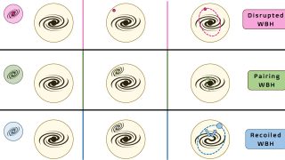 Wandering black holes in Milky-Way-type galaxies