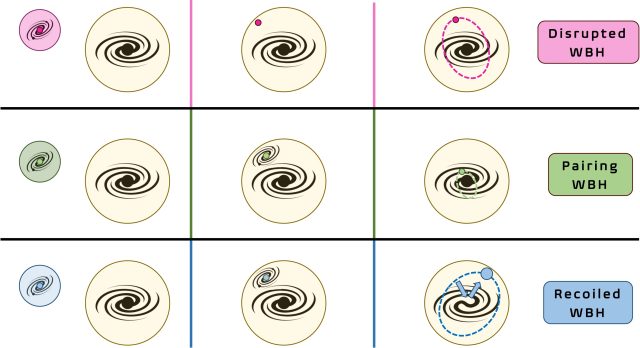 Wandering black holes in Milky-Way-type galaxies