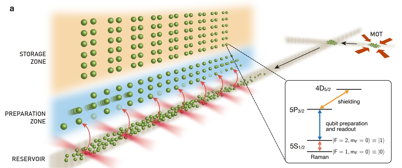 qubits