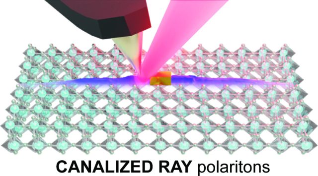 Polariton loss-induced canalization in thin slabs