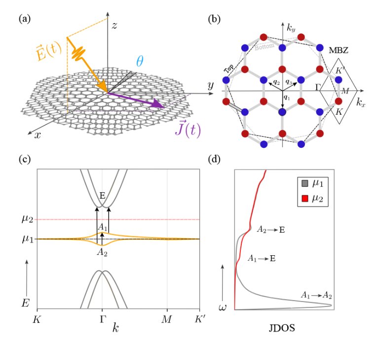 Photogalvanic effects in twisted bilayer graphene