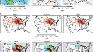 Enhanced weathering could transform US agriculture