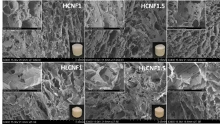 What lignin can do in cellulose nanofibre hydrogels