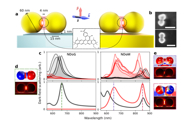 The effectiveness of the DNA origami method for placing molecules into plasmonic nanocavities