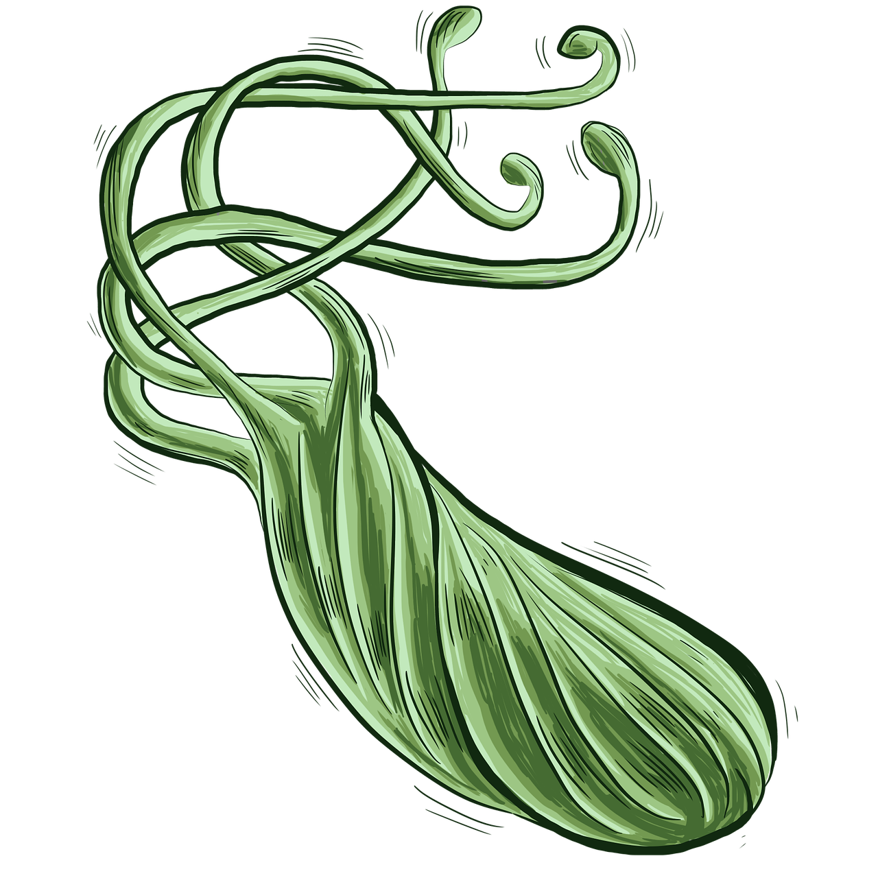 H. pylori