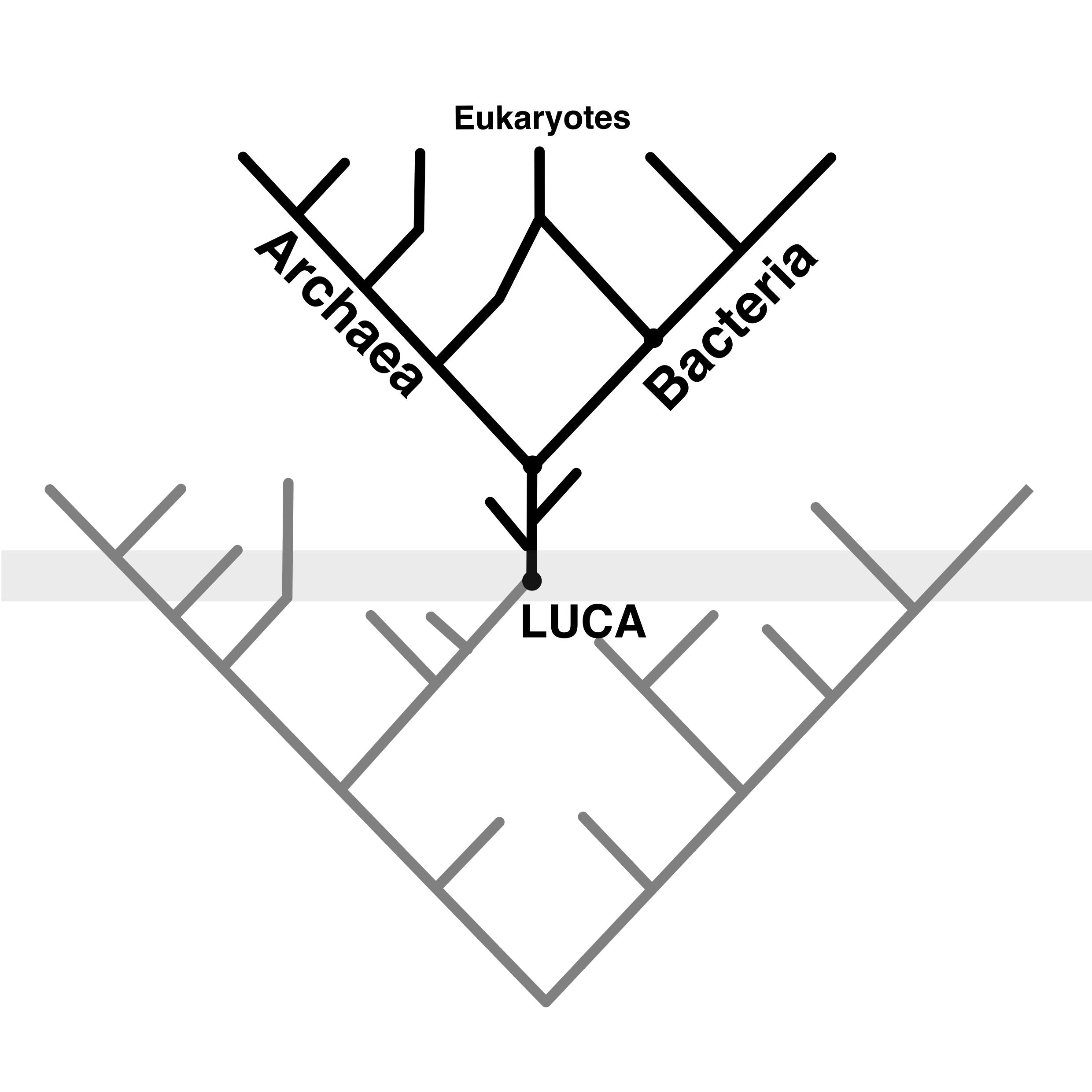 LUCA