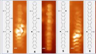 Unlocking magnetism in nanographenes: The role of oxyradicals and molecular design
