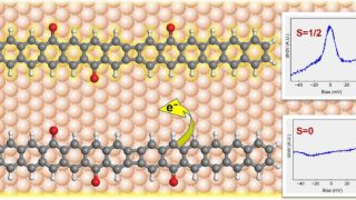Unlocking magnetism in nanographenes: The role of oxyradicals and molecular design