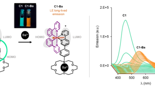 Revolutionizing barium ion detection for neutrino research