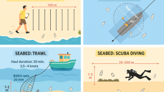 Marine litter threats the Bay of Biscay