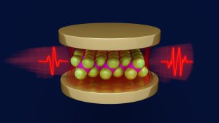 Vacuum fluctuations in optical cavities reveal hidden properties of embedded materials