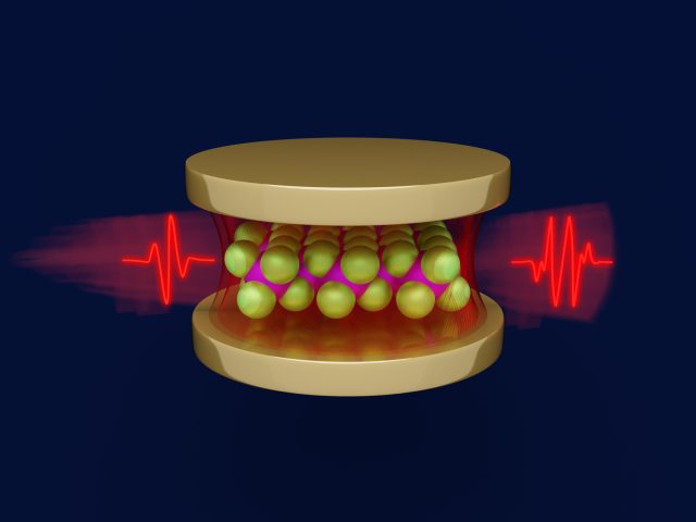 Vacuum fluctuations in optical cavities reveal hidden properties of embedded materials