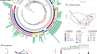 Pet cafés and public health, new insights on bacterial resistance