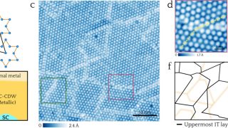 A clash of quantum states in the mosaic phase of a transition metal dichalcogenide