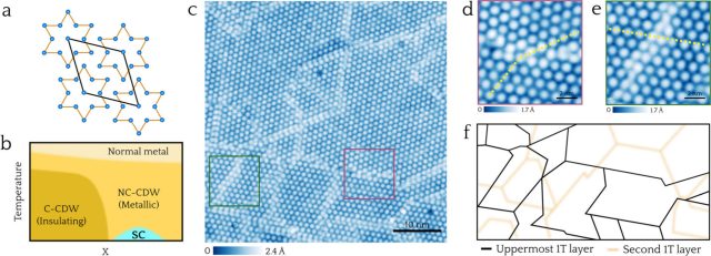 A clash of quantum states in the mosaic phase of a transition metal dichalcogenide
