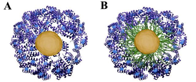 X-rays reveal the true identity of nanoparticles in medicine